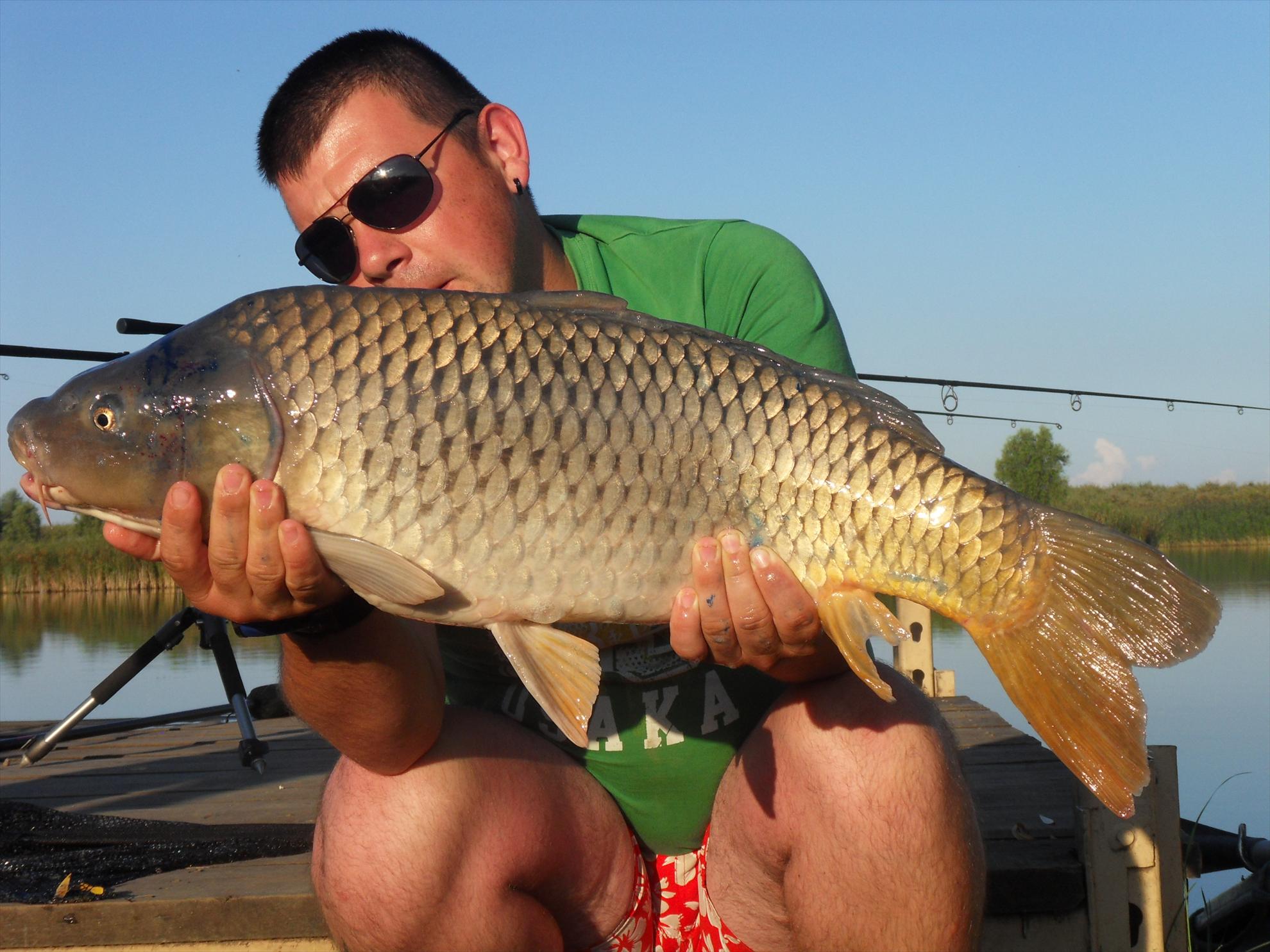 Nagykallo 2011 - nagykallo2011-237.JPG